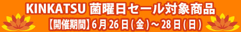 セール説明画像02