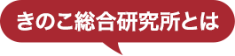 きのこ総合研究所とは