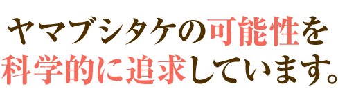 ヤマブシタケの可能性を科学的に追求しています