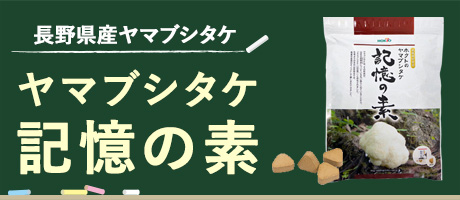 ヤマブシタケ 記憶の素