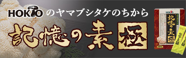 記憶の素 極