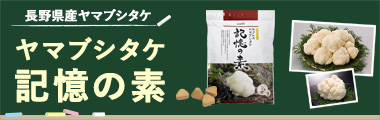 ヤマブシタケ 記憶の素