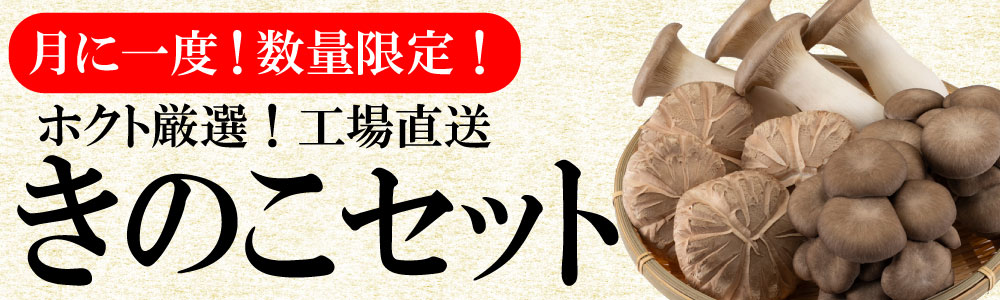 namakinoko1000x300.jpg
