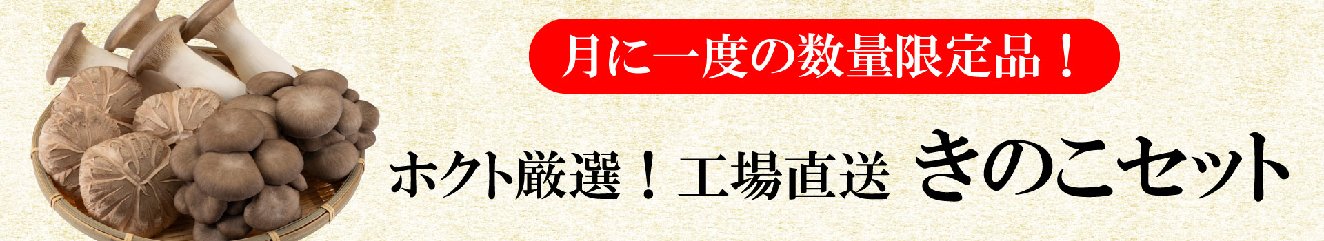 namakinoko1920x350.jpg