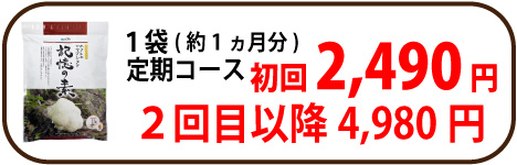 ヤマブシ定期1