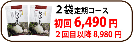 ヤマブシ定期2