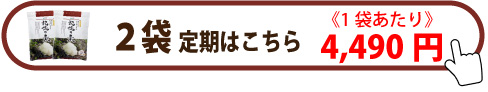 ヤマブシ定期2