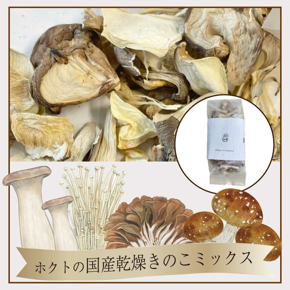 予約販売】《数量限定》ホクト厳選！ 工場直送 採れたて きのこセット